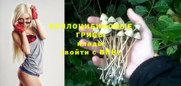 бутират Арсеньев